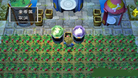 純真生活新牧場(chǎng)物語手機(jī)版截圖