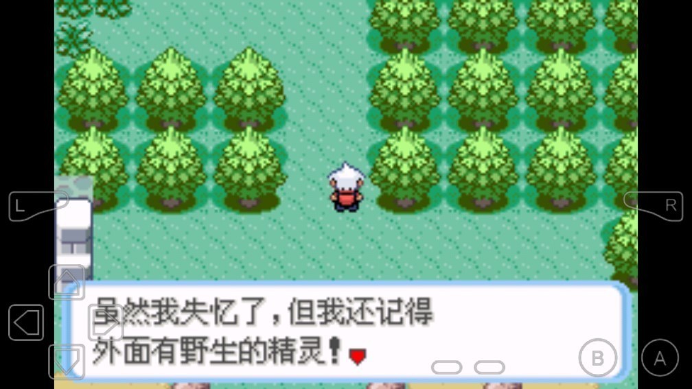 口袋妖怪蛇紋木手機(jī)版截圖