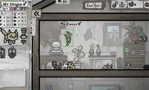 喵喵的結(jié)合截圖