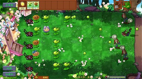 植物大战僵尸共生版安卓版截图