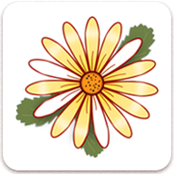 月經(jīng)期記錄