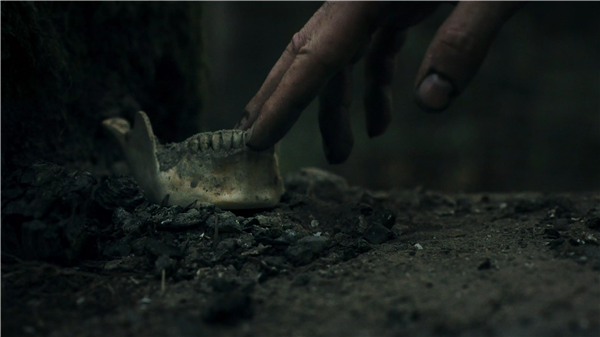 幽林深處手機(jī)版截圖