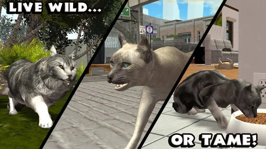 终极猫模拟器截图