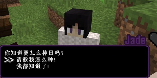 我的世界豐收物語(yǔ)截圖