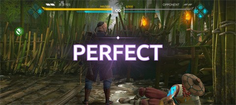 暗影格斗4官方版截圖