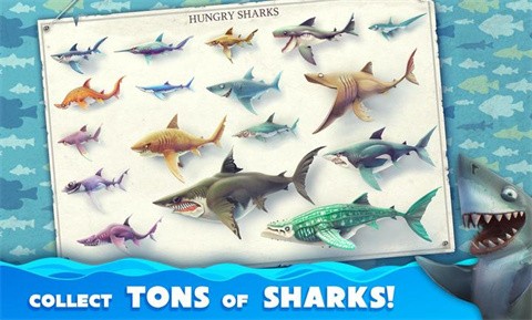 饥饿鲨世界老版本截图