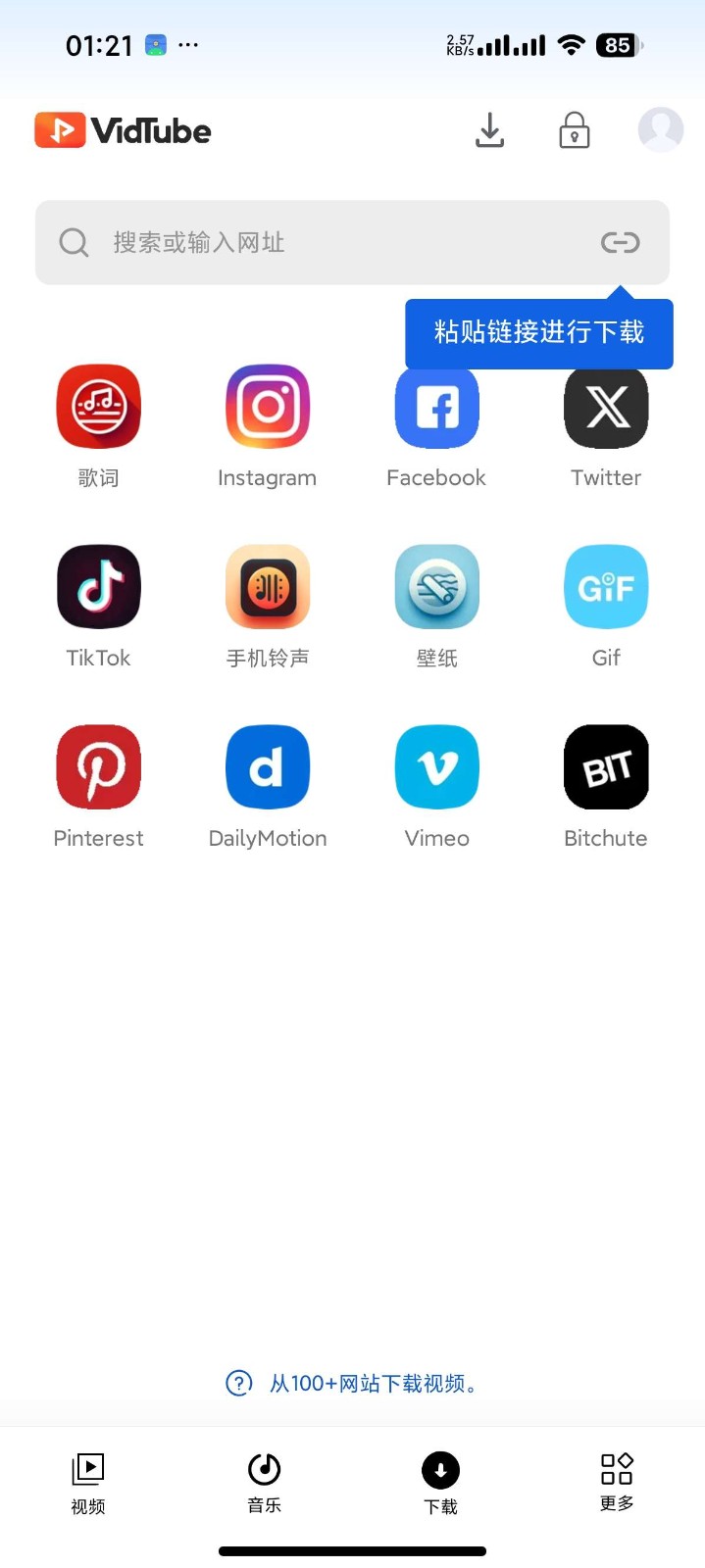 视频下载器专业版截图