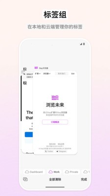 Stay浏览器官方版截图