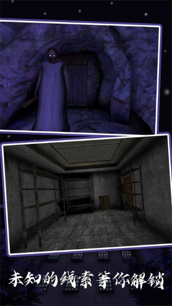 恐怖老奶奶5苏醒时刻截图