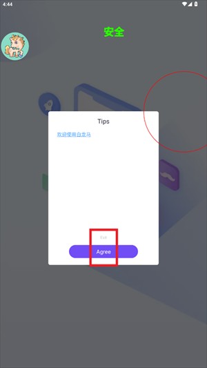 白龙马直装截图