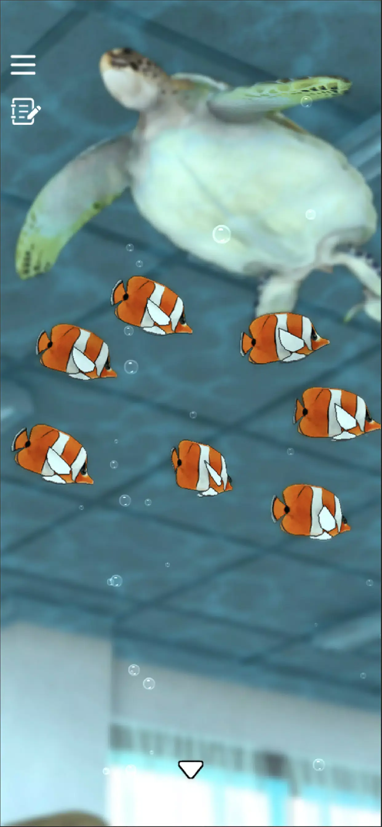 密室逃脱青色放课后截图