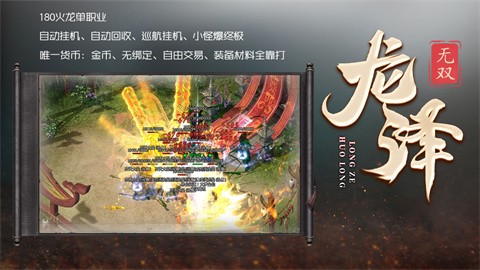 龙泽无双截图
