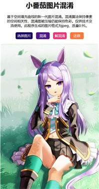 小番茄图片混淆截图