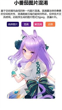 小番茄图片混淆截图