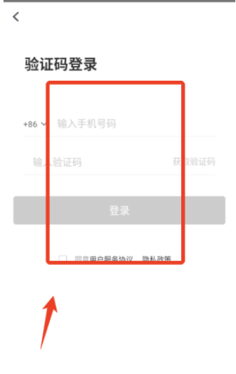 小吉背单词正版截图
