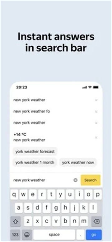 俄罗斯引擎浏览器Yandex截图