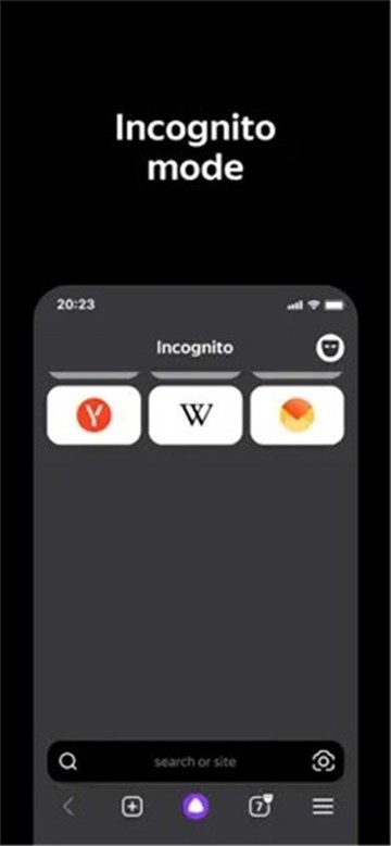 俄罗斯引擎浏览器Yandex截图