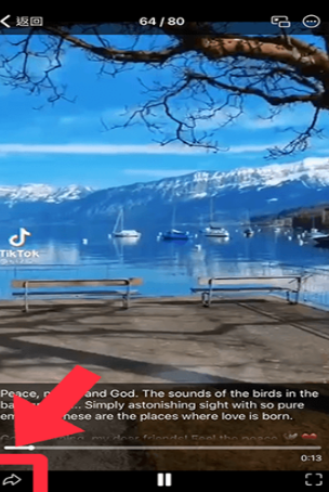 Telegreat纸飞机聊天截图