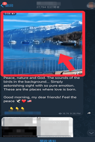 Telegreat纸飞机聊天截图