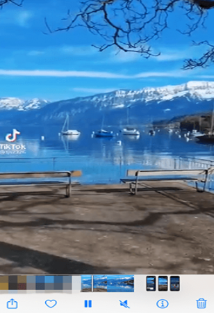 Telegreat纸飞机聊天截图