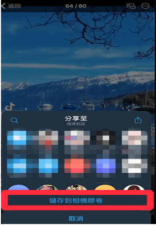 Telegreat纸飞机聊天截图
