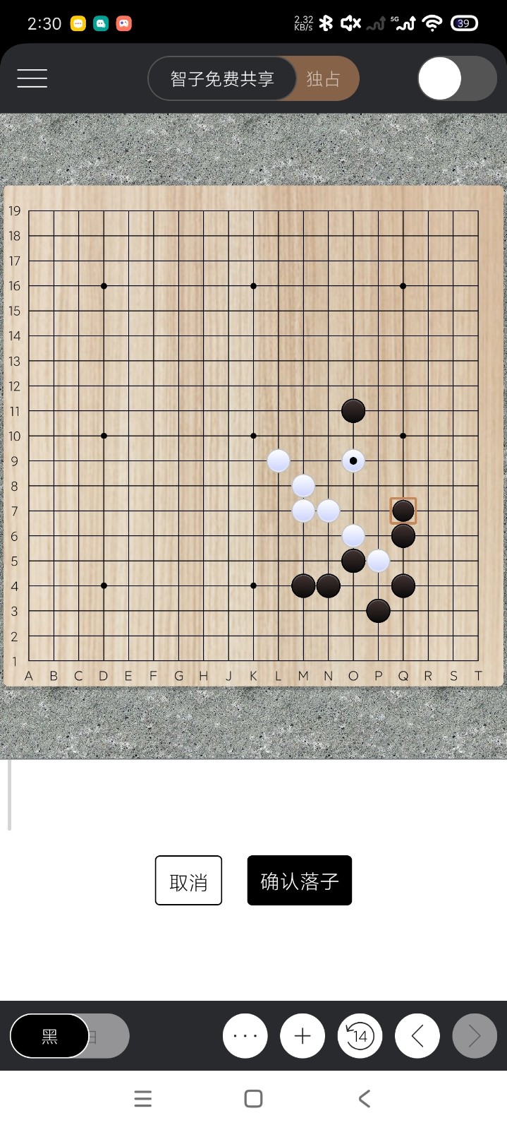 智子围棋截图