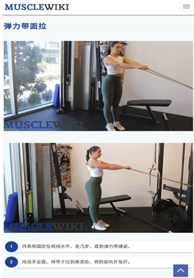 MuscleWiki截图