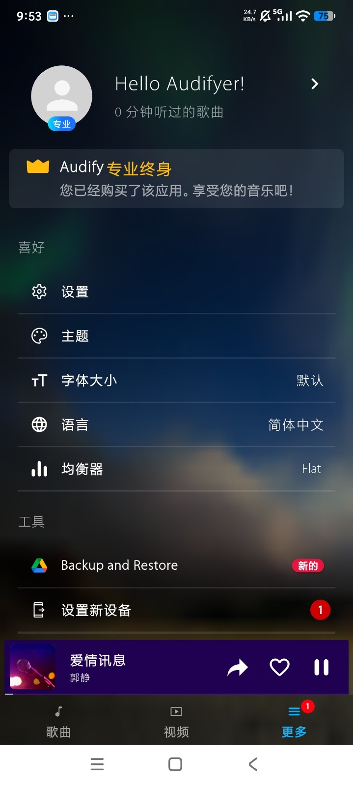 Audify音乐播放器截图