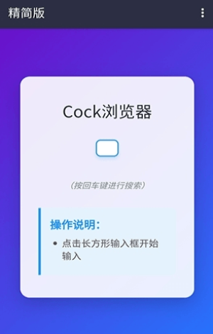 Cock浏览器正版截图