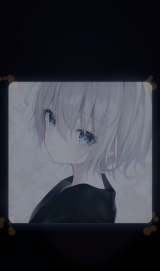 摸金内部直装截图