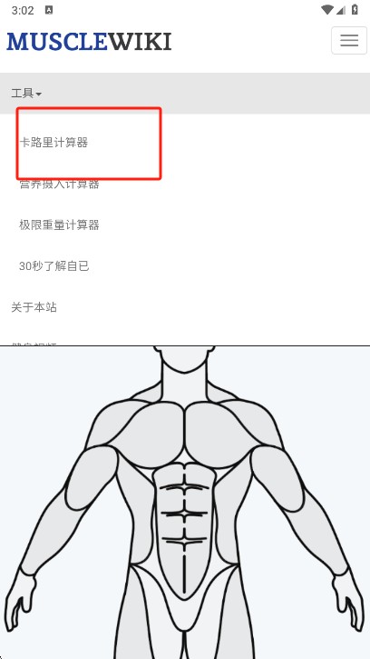 MuscleWiki截图