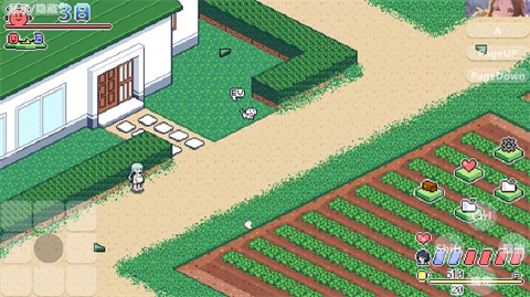 寻找夏日的宝物汉化版截图