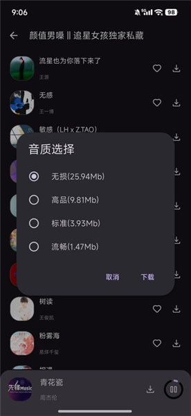 星语音乐播放器截图