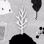 她的树解谜之梦