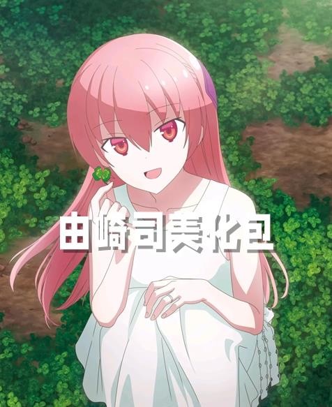 由崎司美化包正版截图