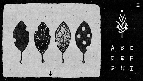 她的树解谜之梦截图