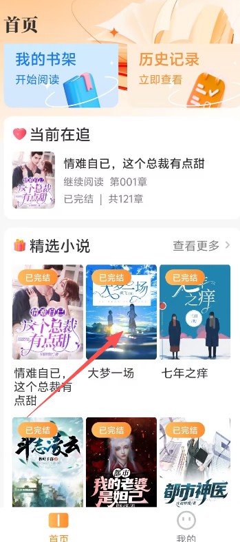 全网小说大全阅读器截图