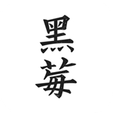 黑莓浏览器安卓版