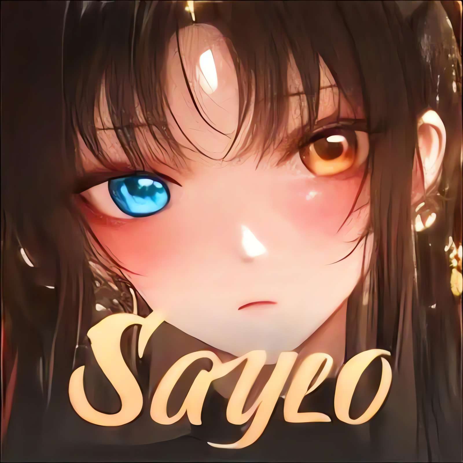 Saylo正版