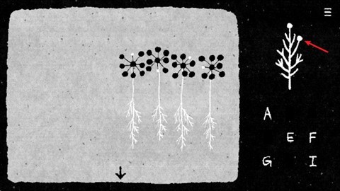 她的树解谜之梦手机版截图