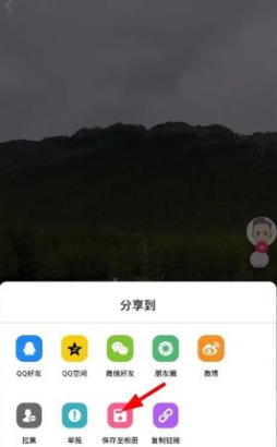 蘑菇视频免费观看截图