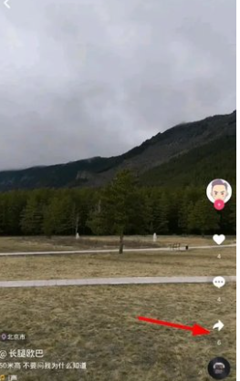 蘑菇视频免费观看截图