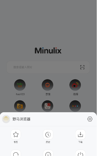 野马浏览器截图