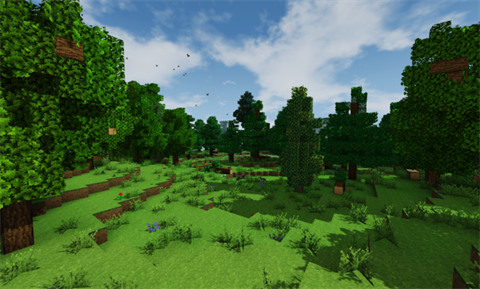 生存战争黎明之光光影特效版截图