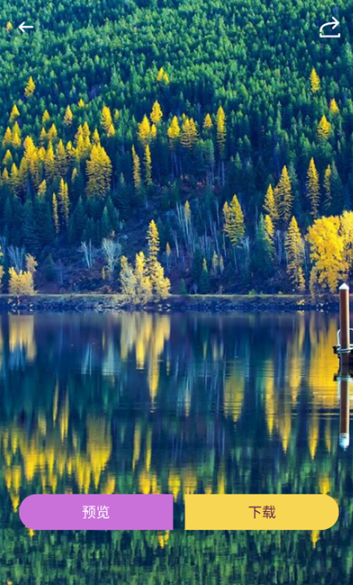 回音鸟组件免费版截图