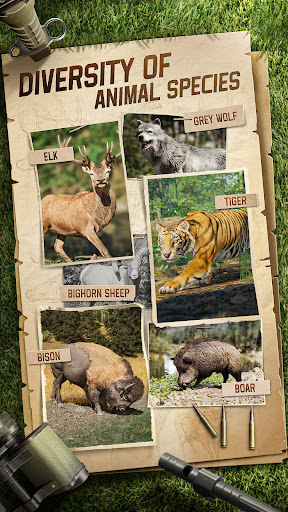 狩猎狙击手截图