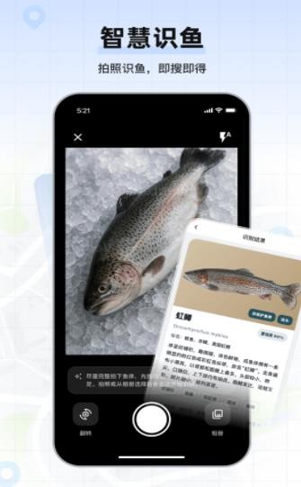 钓鱼卫星地图截图2