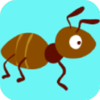 蚂蚁影视播放器