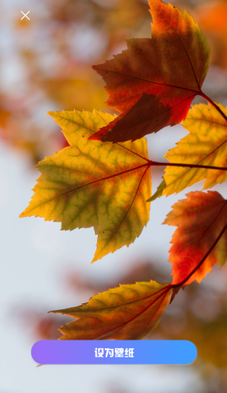 口袋免费壁纸高清版截图