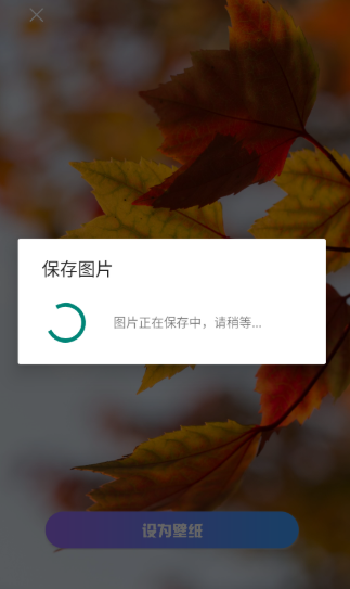 口袋免费壁纸高清版截图